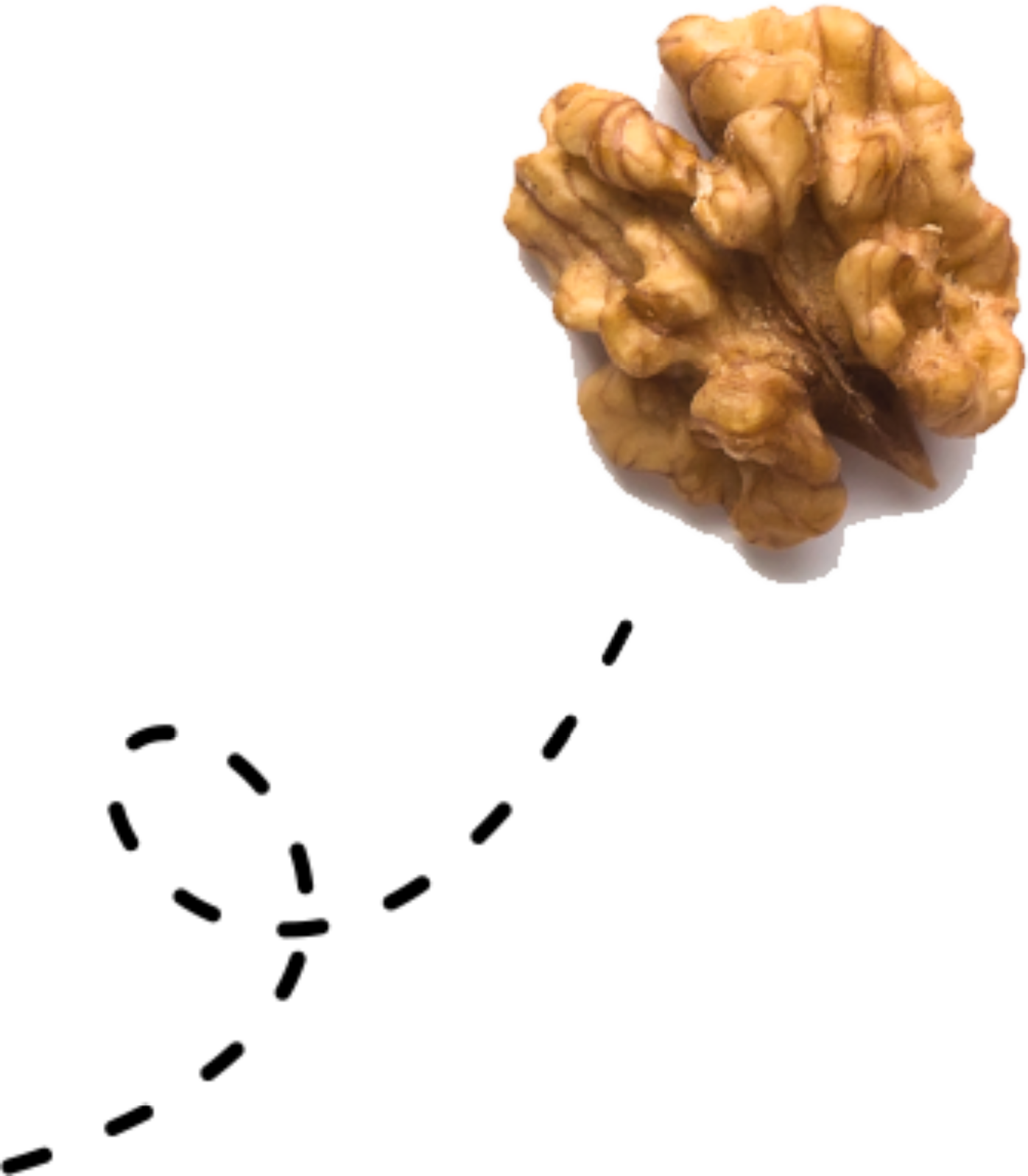 Walnut Laid Back Snacks