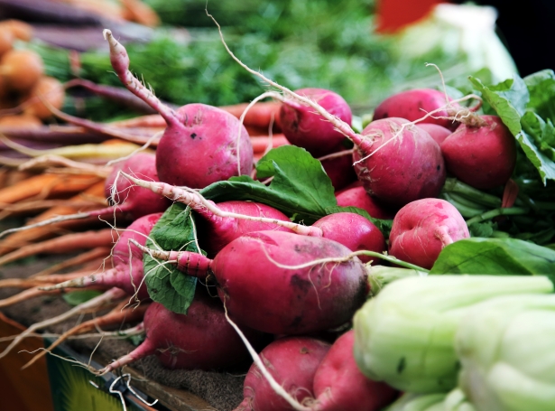 picture of farm beets