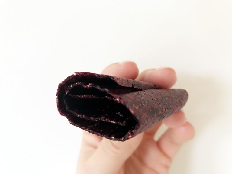 homemade fruit roll ups with dried fruit