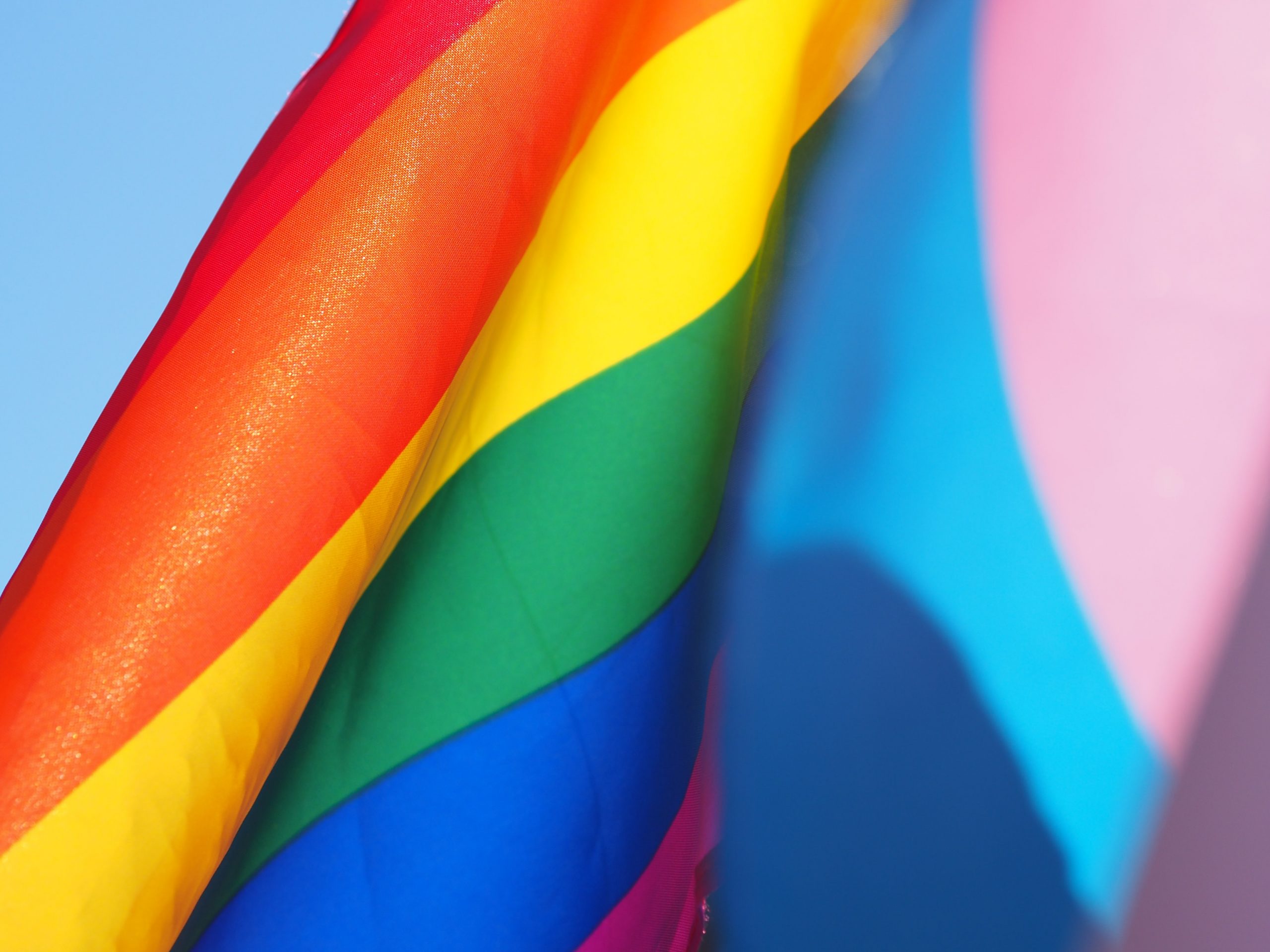 LGBTQ+ businesses to support during Pride Month